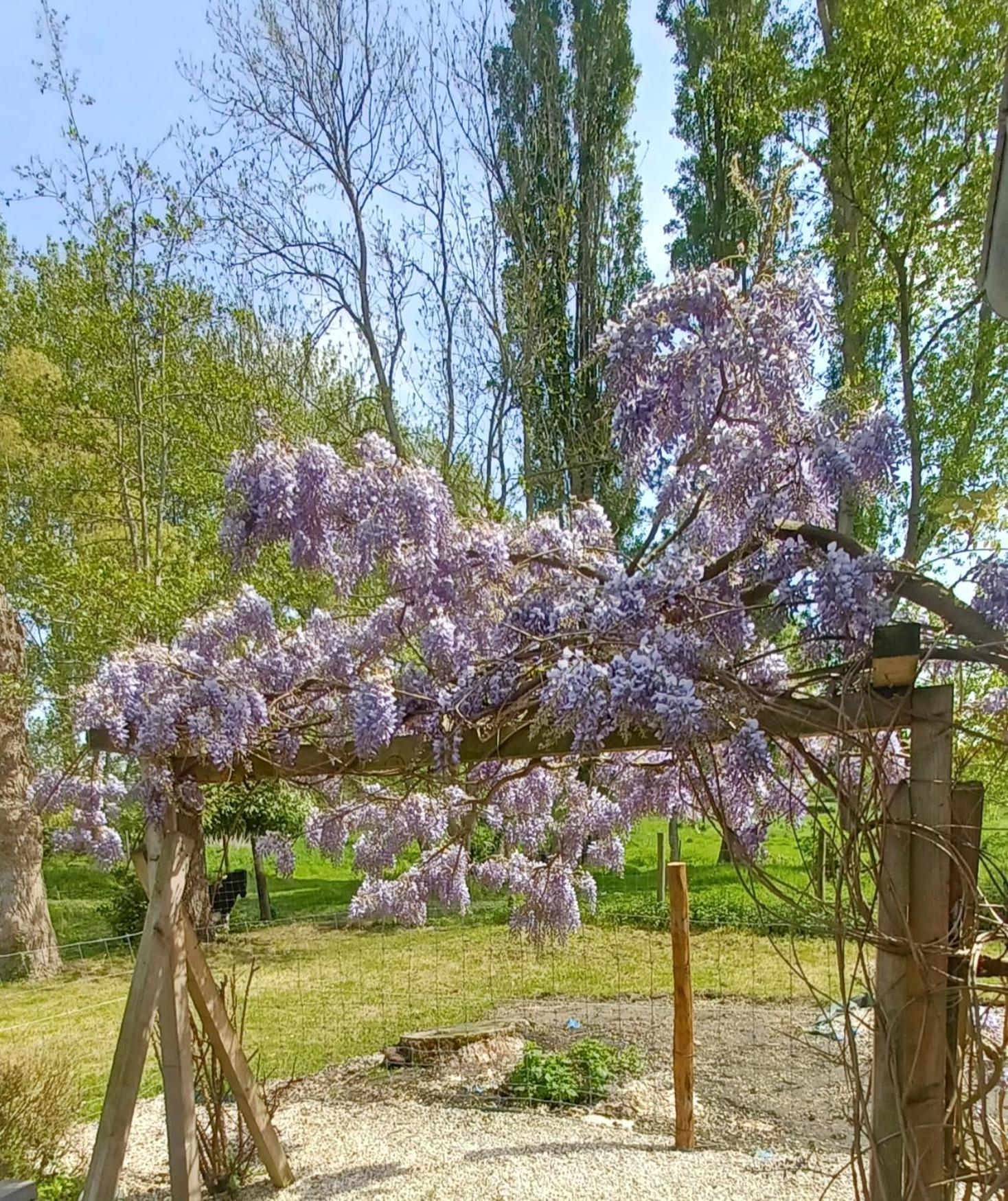 Nature Et Moi Wittes Εξωτερικό φωτογραφία